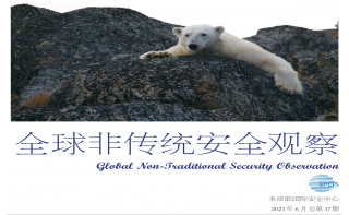 《全球非傳統(tǒng)安全觀察》第17期