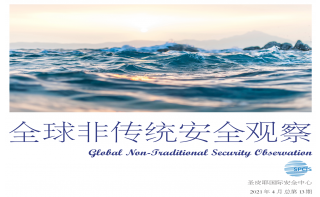 《全球非傳統(tǒng)安全觀察》第13期