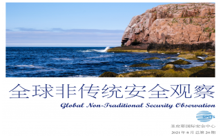 《全球非傳統(tǒng)安全觀察》第20期