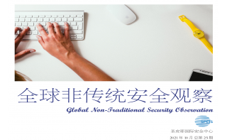 《全球非傳統(tǒng)安全觀察》第25期