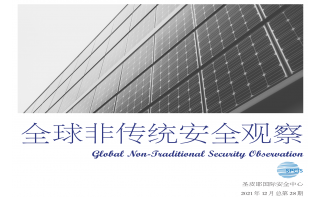 《全球非傳統(tǒng)安全觀察》第28期