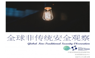 《全球非傳統(tǒng)安全觀察》第33期